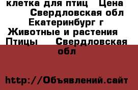 клетка для птиц › Цена ­ 550 - Свердловская обл., Екатеринбург г. Животные и растения » Птицы   . Свердловская обл.